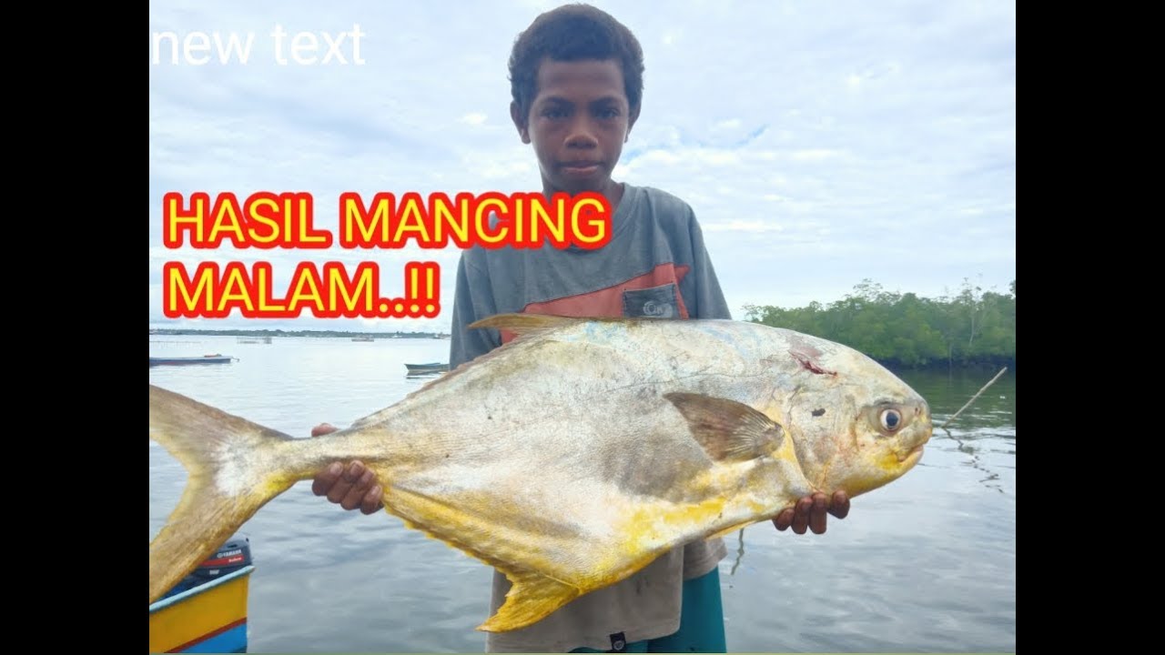 Spot Mancing di malam hari ikanya sangat mengerikan #fishing