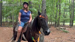 Horseback riding with my mini australian shepherds and Easyboot Trail review