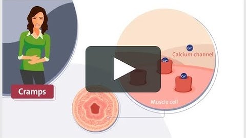 Motion | Visual Option for 2D Explainer Videos