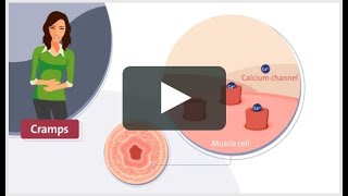Motion | Visual Option for 2D Explainer Videos