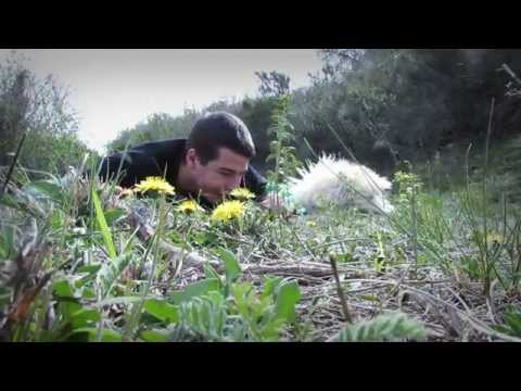 ბახტრიონი / Bakhtrioni