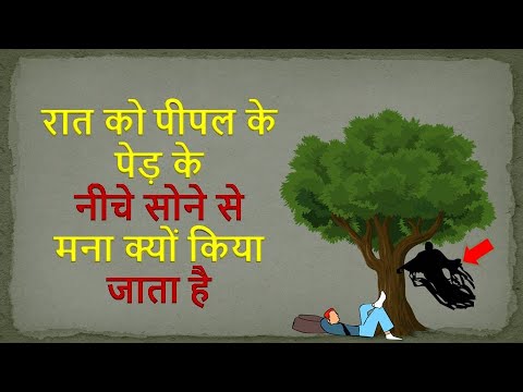 वीडियो: हमें पीपल के पेड़ के नीचे क्यों नहीं सोना चाहिए?