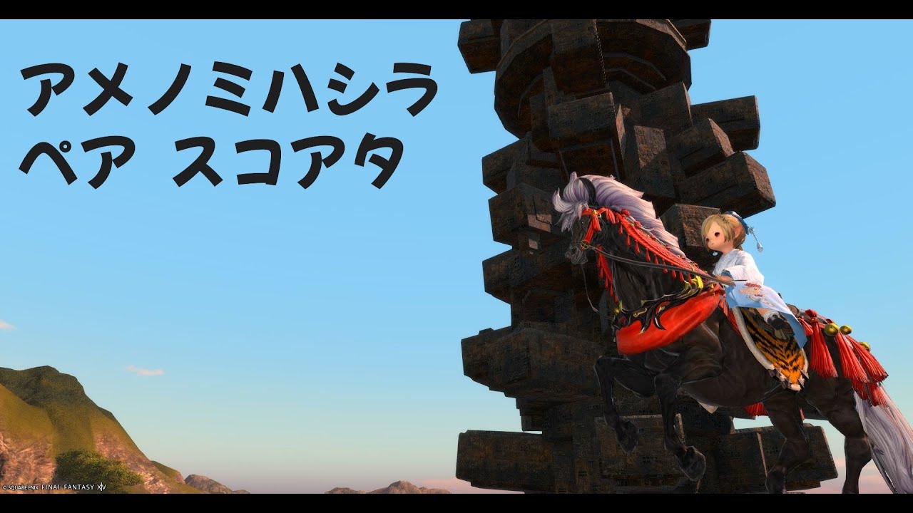 アメノミハシラ ペアスコアタ31-60F没