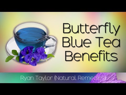 Vídeo: Benefícios do Blue Tea da Tailândia