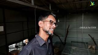 Exotic Birds Cage Size/Seed Mixed Variations/Setup Maintenance Others Information