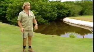 Crocodile Hunter - Crocs In The City (Part 2/5)