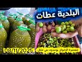أجي تعرف البلدية شحال كطعطي من لتر في القنطار من معصرة الإخوان بوعدود بني ملال 08 11 2025 أجي تعرف البلدية شحال كطعطي من لتر في القنطار من معصرة الإخوان بوعدود بني ملال 08 11 2025