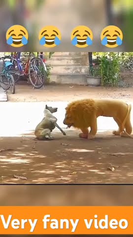 Fancy Video very fancy video #shortvideo - YouTube