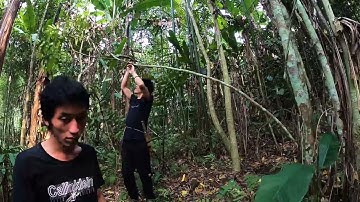 #24. Cuộc Sống Mưu Sinh Trong Rừng, Thức Ăn Trong Rừng | Phiêu Lưu Trong Rừng