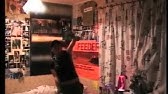 Feeder Just A Day Youtube Feeder Just A Day Youtube