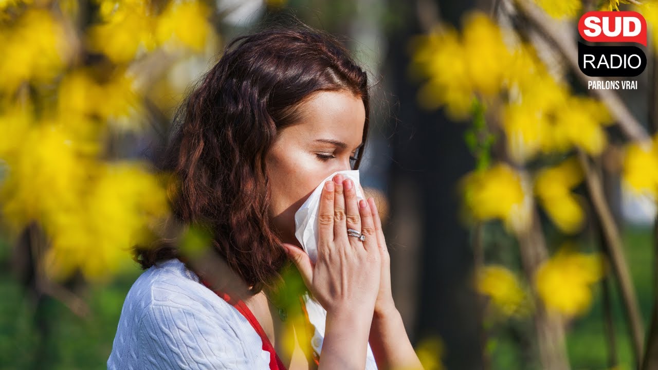 Un indice pollen publié chaque jour par AtmoFrance