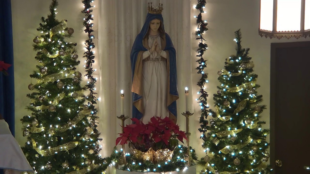 Rosary, January 22, 2026