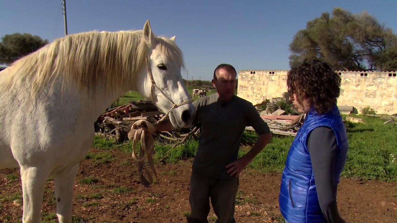 En Tripi, objectiu festes de Sant Joan de Ciutadella - Uep IB3