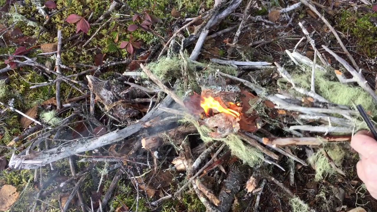Newfoundland Boil up Kippers and Bologna.