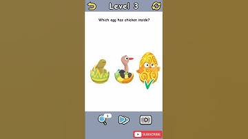 Brain Crack Level 3 Which egg has chicken inside Walkthrough