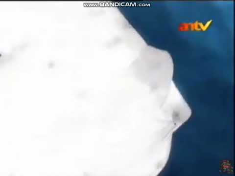 Iklan BuKrim BBA - Delon Makin Pede (2005) @ RCTI, ANTV, TPI, Indosiar, SCTV, TV7, \u0026 Trans TV