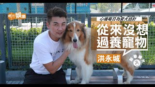 【寵物專訪】洪永城收養牧羊犬