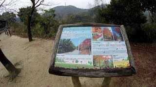 麥理浩徑@MacLehose Trail (Section 10)