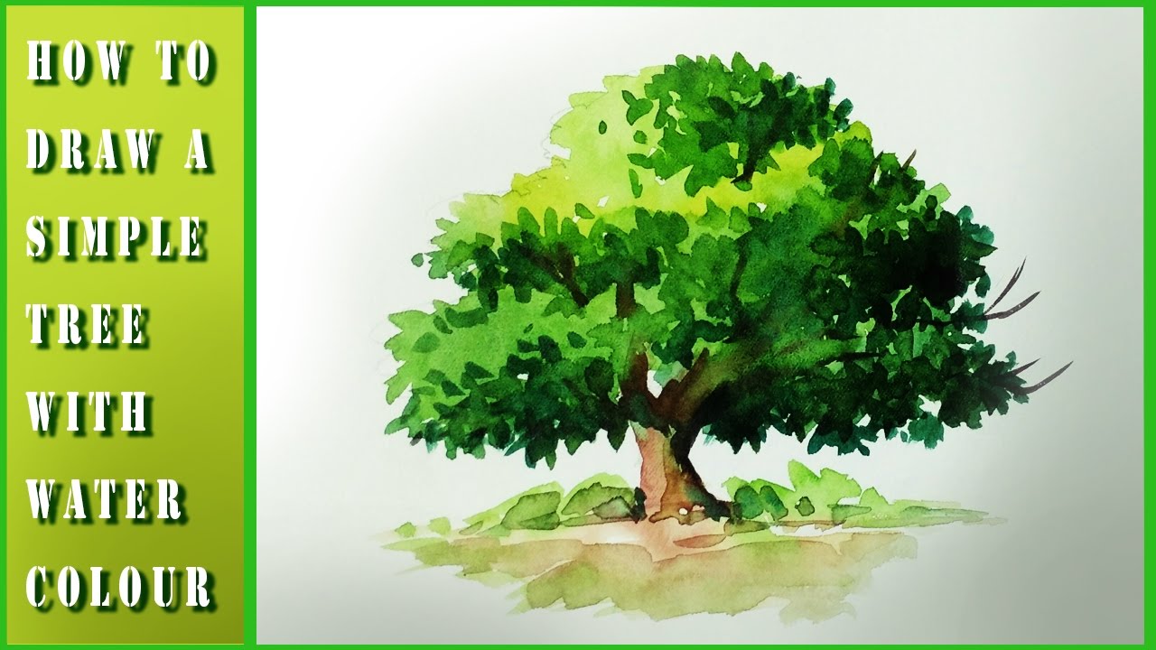 How to draw tree with watercolor - YouTube