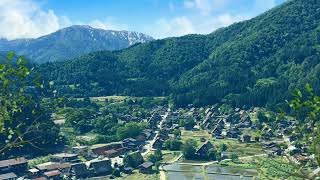 🎧Summer Nature Sounds in Japanese Village | Sounds of Crickets and Cicadas | Relaxing Summer Sounds