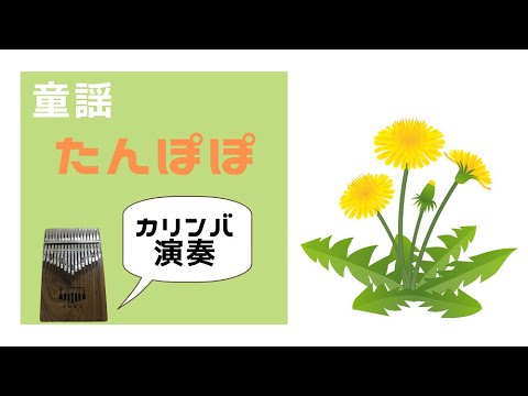 【カリンバ演奏】たんぽぽ／Kalimba
