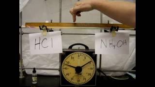 Hydrochloric Acid Ammonia Diffusion Demonstration 001