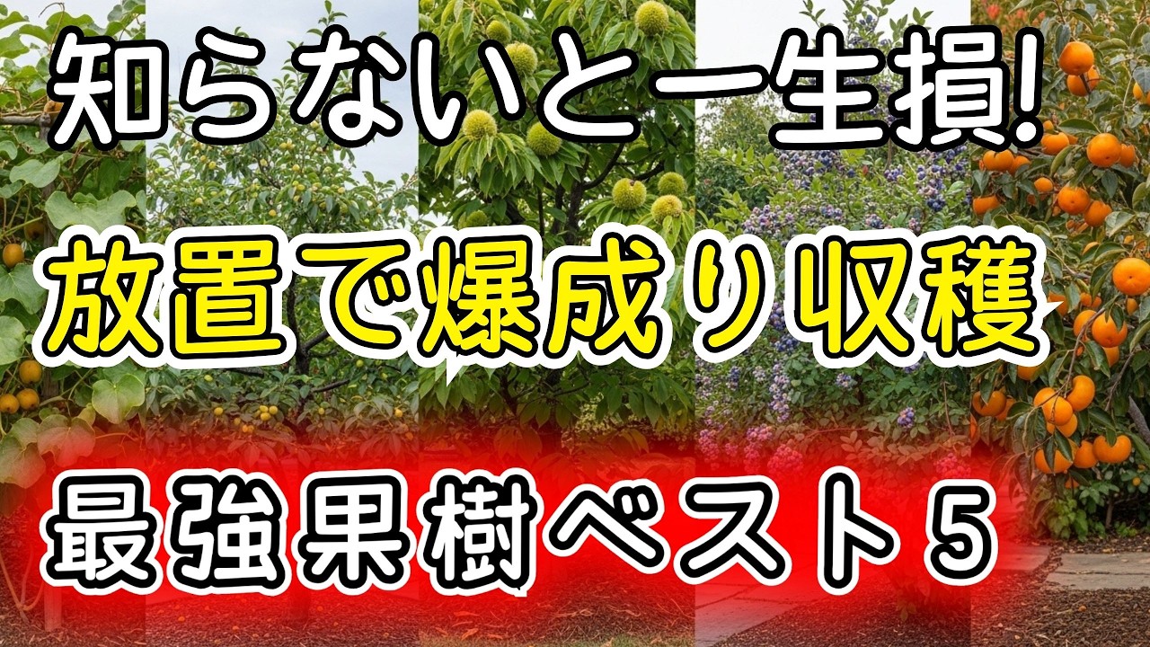 Don't Miss Out!] Harvest 1000 Fruits Every Year from Just One Tree