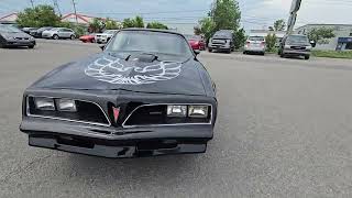 1980 (77 Apperance) Pontiac Trans Am *FOR SALE* - Mtl West Motors