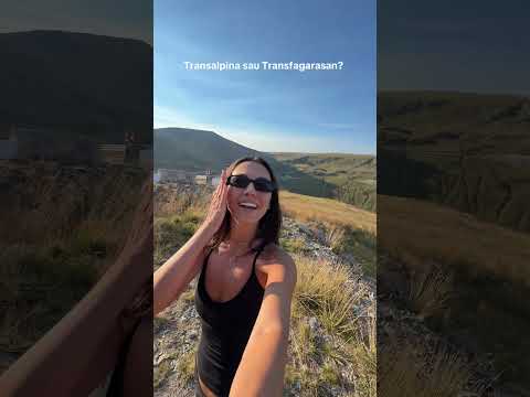 Oricum, superb ???? #transalpina #MIRA #shorts