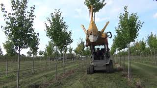 Dutchman Tree Spade 280i-25° by DutchmanIndustries 1,602 views 2 years ago 1 minute, 17 seconds