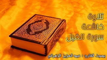 تلاوة خاشعة ومؤثرة سورة الفيل