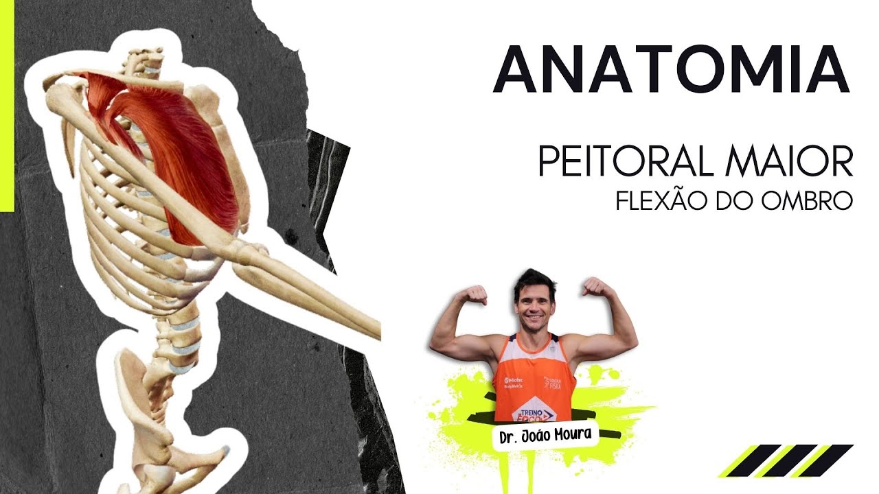 Peitoral Maior - Flexão do Ombro - Anatomia e Cinesiologia