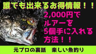 【ルアーフィッシング】¥2,000でルアーが5個!!お得にルアーをゲットする方法!!DUO ジャンプライズ等 シーバス ブラックバス ルアー ふるさと納税