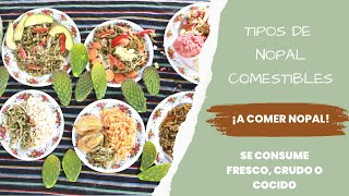 HOW TO KNOW IF A NOPAL IS EDIBLE?