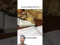 #cat #memes #funny #cute #comedy #viral #3danimation #animation #fun #facts