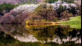 MagiCXbeats - Exotic Skys