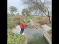 Fully Natural Hook Fishing By Catching One Big Baam Fish #fishing #hookfishing
