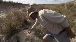 Nebraska Stories | Sandhills Critters