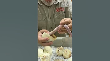 exotic giant snake #shorts #video #fyp