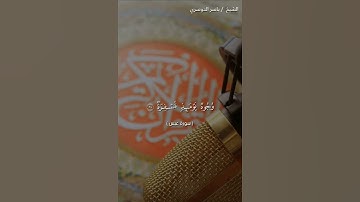 سورة عبس من آية 36 إلى آية 42 بصوت الشيخ ياسر الدوسري❤❤