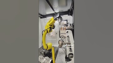 Cánh tay robot mài tự động - ZHAO SHUN