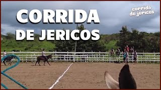 Corrida De Jericos Online 2021 47º Festival Nacional De Jericos