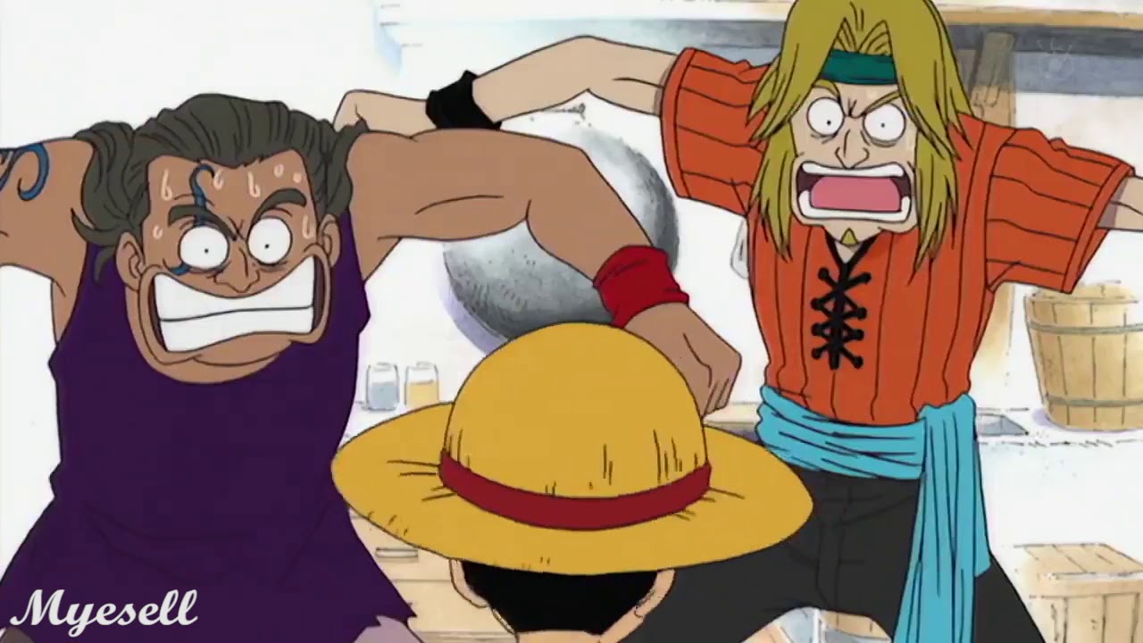 One Piece épisode 1 Adn