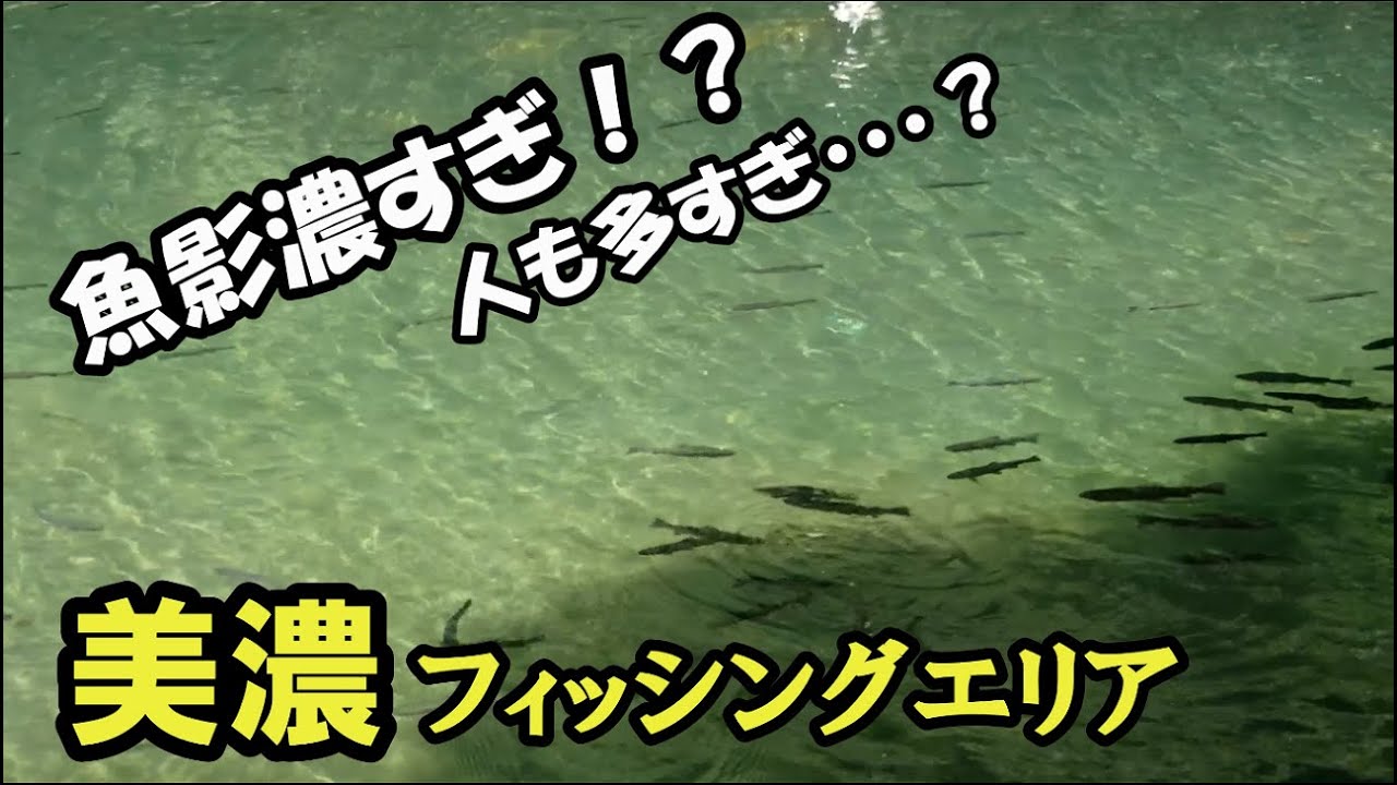 夏休み！ ダイソーの100円スプーンは釣れる？【美濃フィッシングエリア】レビュー　管釣り日記＃5