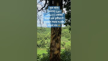 সূরা আল-ইখলাস( سورة الإخلاص )এর ফজিলত ‼️ #foryou #trending