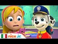 Paw patrol  la squadra dei cuccioli  marshall  a casa da solo  nick jr