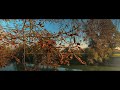 Morning Sun | iphone 13 | Blackmagic Cam