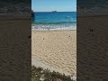 Olas de Mar | Ocean Waves Sound #shorts #WaterSounds #Relaxing