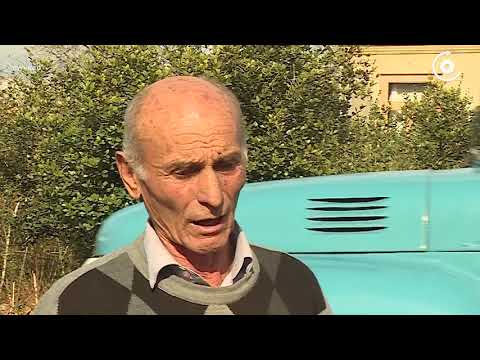 „შიშისგან გარეთ ბავშვებს ვერ ვუშვებთ“ - მგლების შემოსევა სამეგრელოში