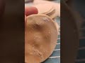 homemade dumpling skin